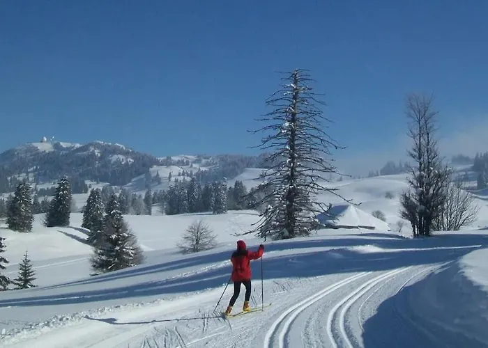 Col De La Faucille Barrel Chalet *